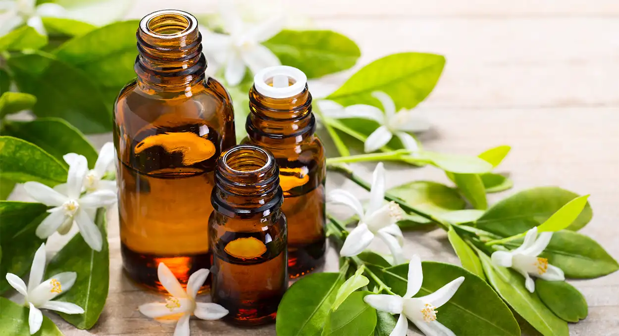Header photo for Therapeutic Grade Essential Oils that shows Neroli Essential Oil surrounded by aromatic neroli blossoms