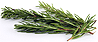 Rosemary Sprig