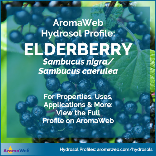 Elderberry Hydrosol / Elderflower Hydrosol