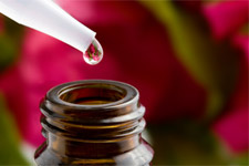 Shopping for Essential Oils>Essential 
              oils are readily available from many health food and aromatherapy 
              stores, via mail-order, and via companies that have Web sites. Although 
              readily available, the quality of essential oils from one vendor 
              to another can vary drastically whether you buy them locally or 
              not. Additionally, the price charged is not necessarily an indication 
              of the quality of the vendors oils. </p>
            <p class=