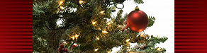 Holiday and Seasonal Aromatherapy Recipes