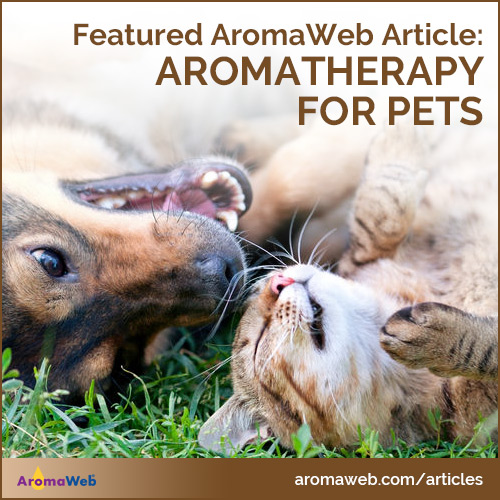 Aromatherapy for Animals and Pets