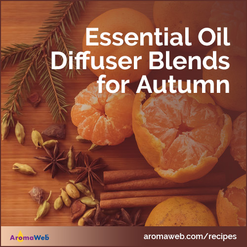 Essential Oil Diffuser Blends for Autumn