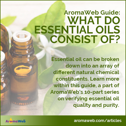 What Do Essential Oils Consist Of?