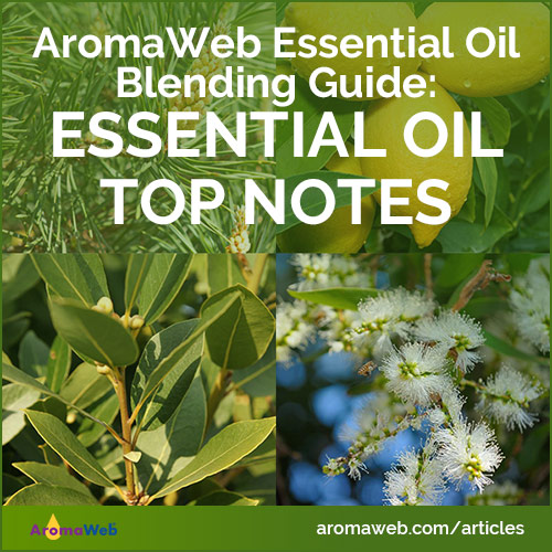 Essential Oil Top Notes