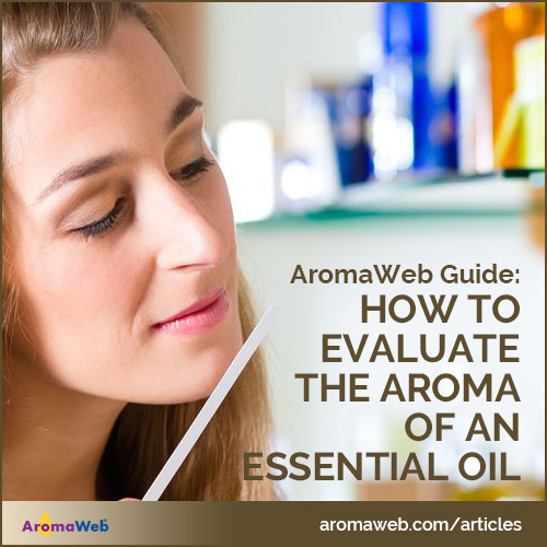 How to Evaluate the Aroma of an Essential Oil