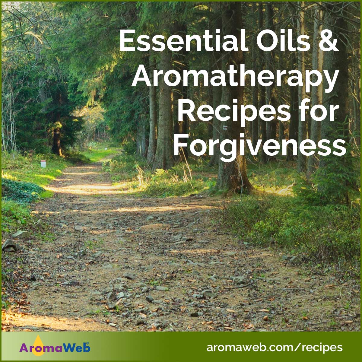 Essential Oils and Aromatherapy Recipes for Forgiveness