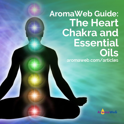The Heart Chakra and Essential Oils