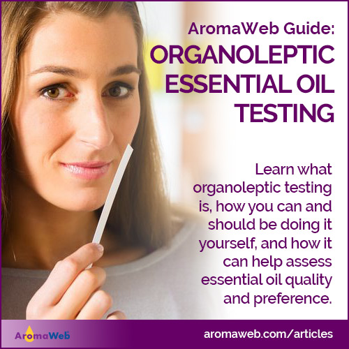 Organoleptic Testing of Essential Oils