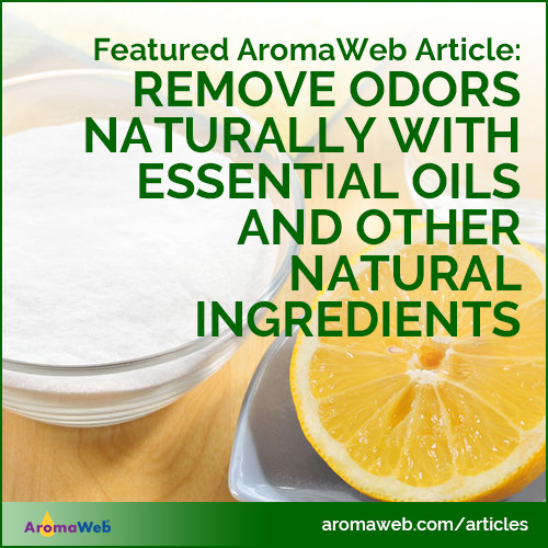 Remove Odors Naturally With Essential Oils and Other Natural Ingredients