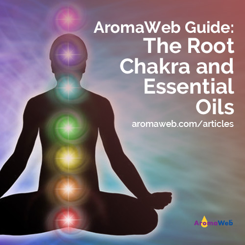 The Root Chakra and Essential Oils