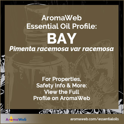 Bay Essential Oil Profile