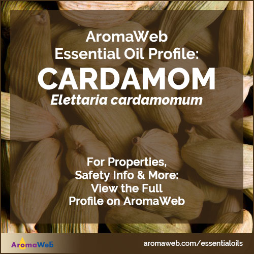 Cardamom Essential Oil Profile