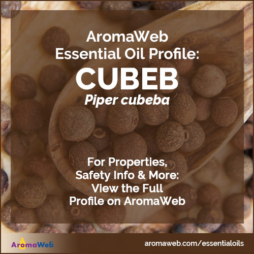 Cubeb Essential Oil Profile