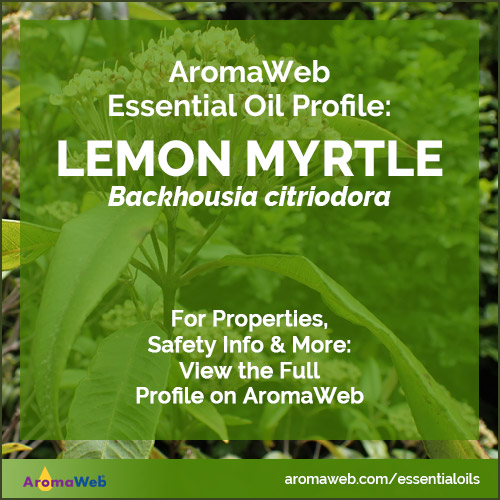 Lemon Myrtle Essential Oil Profile