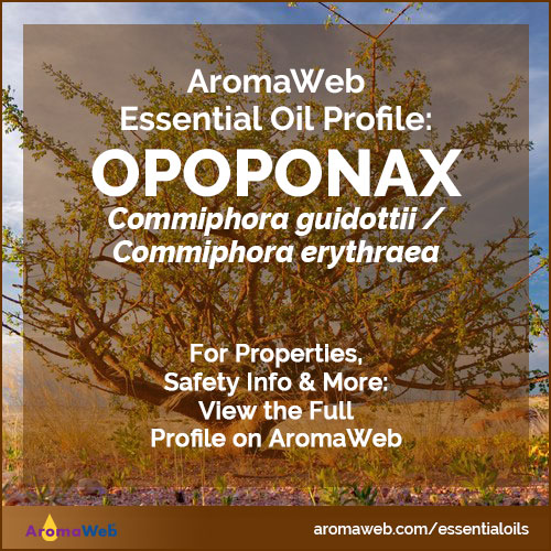Opoponax Essential Oil Profile