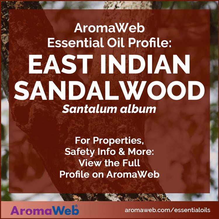 Sandalwood Essential Oil Profile