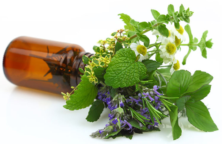 The Parts of Plants That Produce Essential Oil
