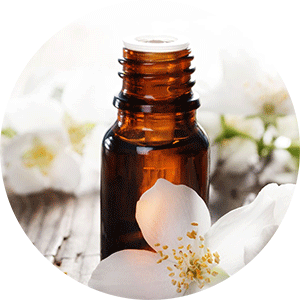Aromatherapy Resources