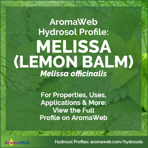 Photo of lemon balm leaves surrounded by text that says AromaWeb Hydrosol Profile: Melissa (Lemon Balm)