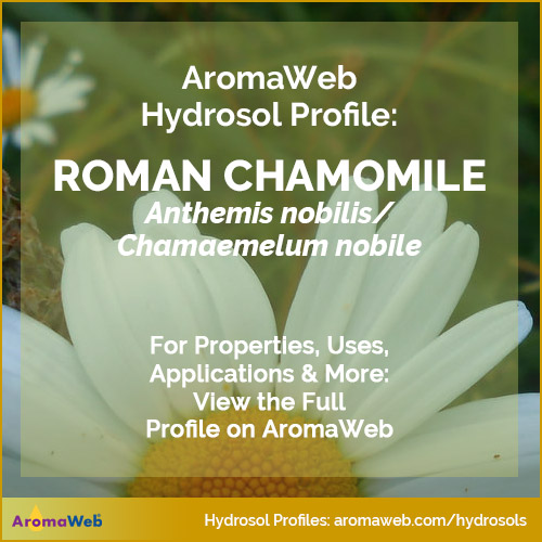 Roman Chamomile Hydrosol