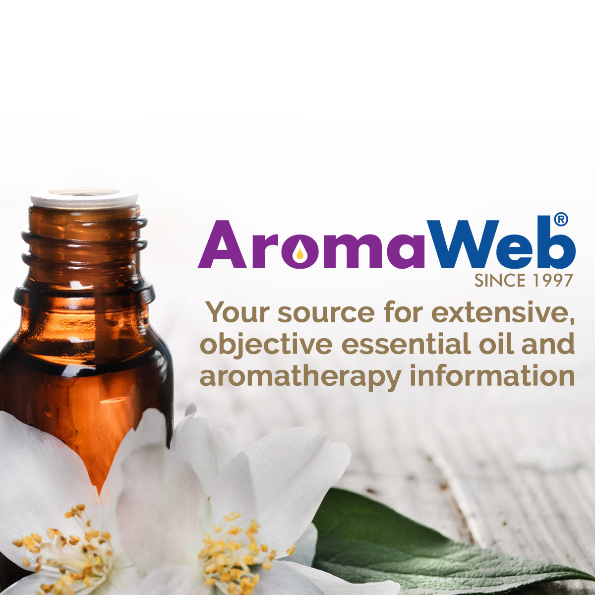 doterra aromatherapy