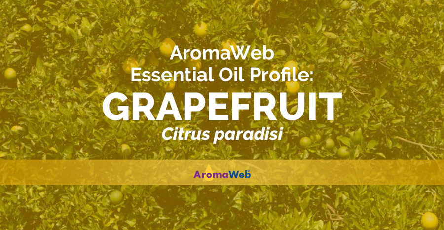 Grapefruit Essential Oil Uses & Benefits - AWO