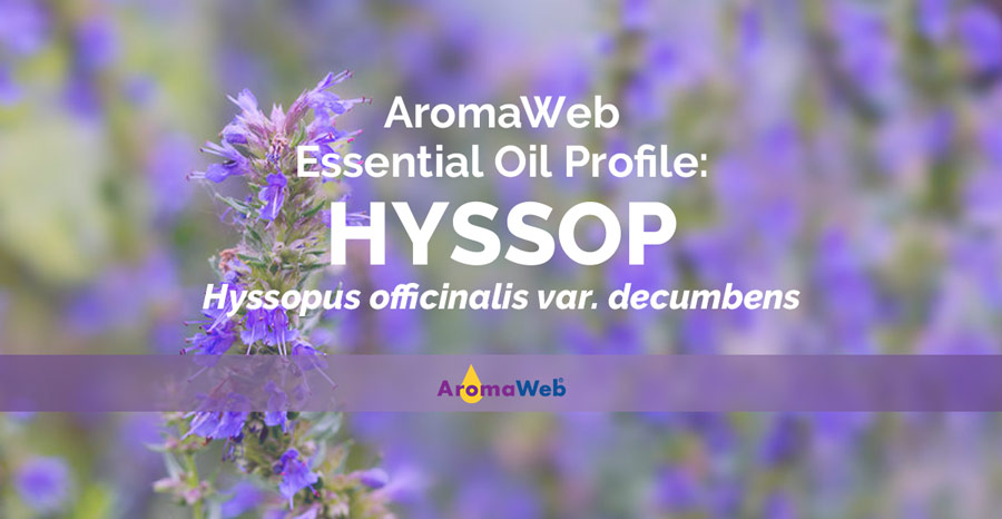 Principal constituents of Hyssopus officinalis essential oil