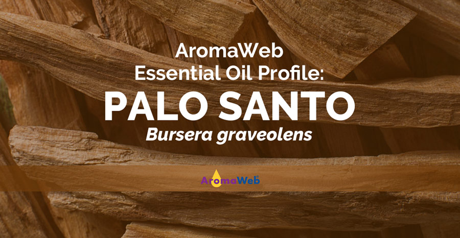 Palo Santo (Holy Wood) Essential Oil - Aromatics International