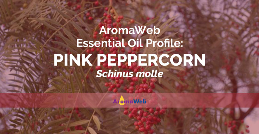 Pink Pepper essential oil - Everyday home with Katina