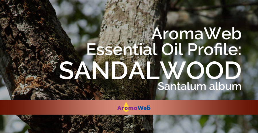 Sandalwood Essential Oil Uses and Benefits for Health - Everphi EverPhi