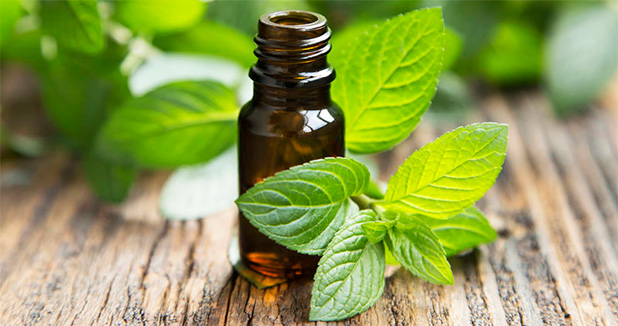 130 Essential Oils: Essential Oil Uses and Benefits
