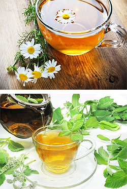 Chamomile and Peppermint Teas