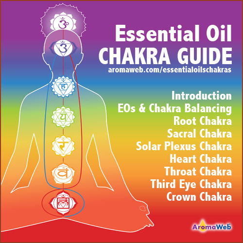 AromaWeb Essential Oil Chakra Guide