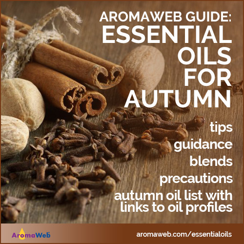 Autumn Essential Oil Set - 6 pack