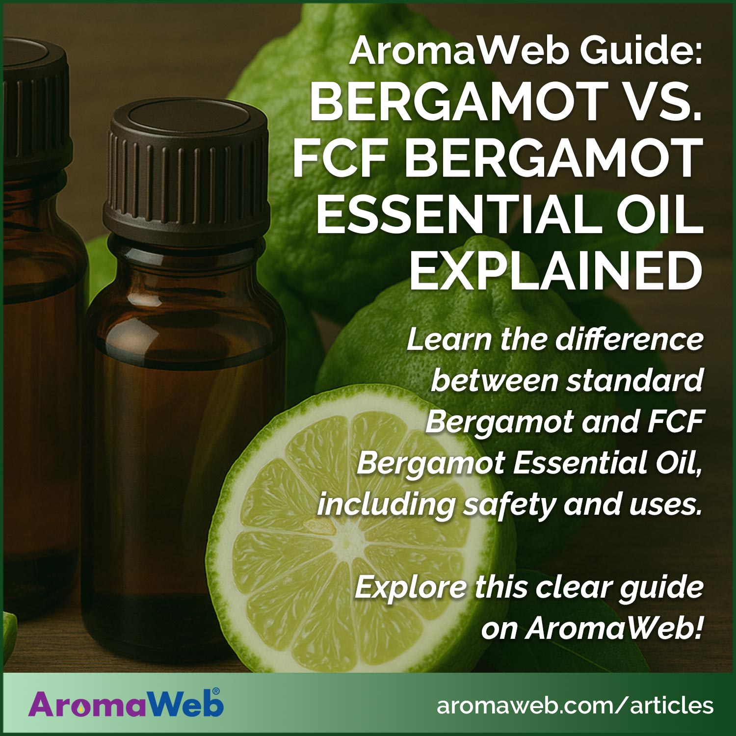 Bergamot Essential Oil photo with text that says Learn the difference between standard Bergamot and FCF Bergamot Essential Oil, including safety and uses.