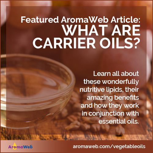 Introduction to Carrier Oils