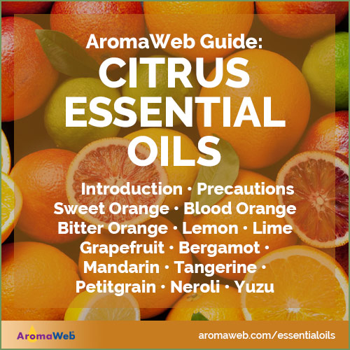 Guide to Citrus Essential Oils
