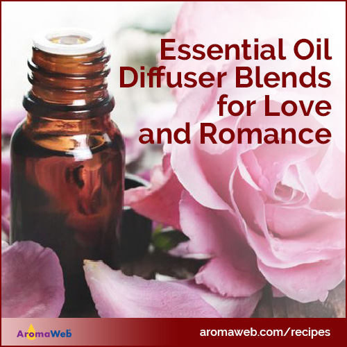 Diffuser Blends for Romance and Love
