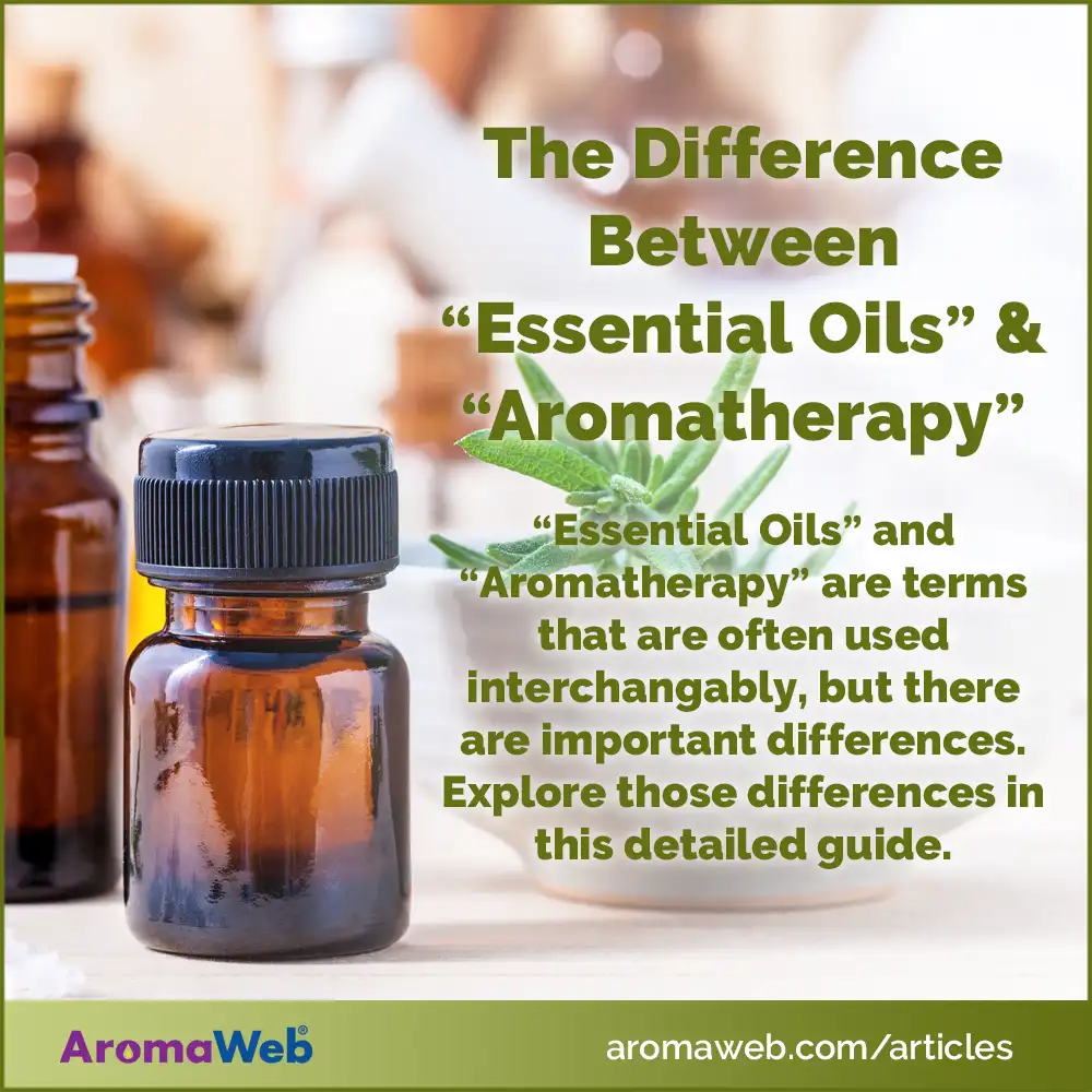 Social Media Graphic for an Explaination of the Differences Between the Terms Essential Oils and Aromatherapy