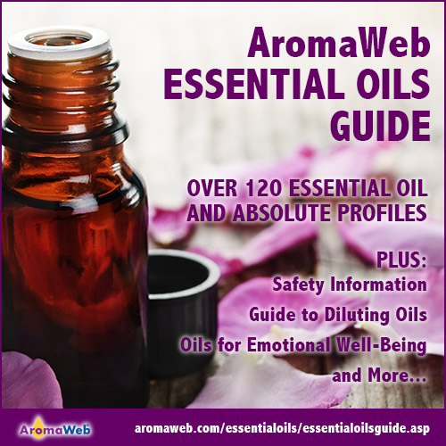 Essential Oils & Aromatherapy, An Introductory Guide, Book by Sonoma Press, Official Publisher Page