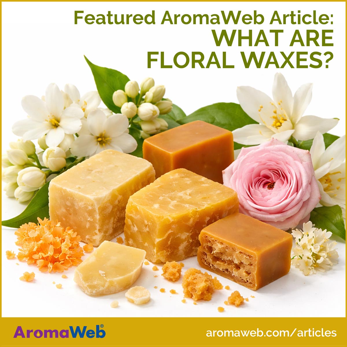 Selection of Floral Waxes surrounded by fresh botanicals