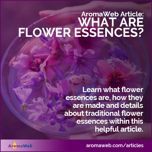 Flower Essence Definition and Information