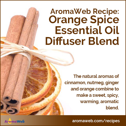 Orange Spice Essential Oil Diffuser Blend