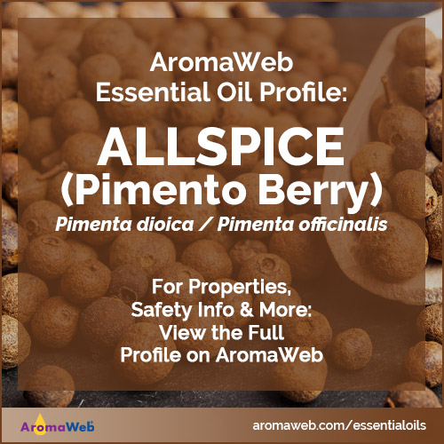 Allspice Essential Oil Profile