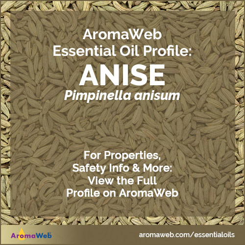 Anise Essential Oil Profile