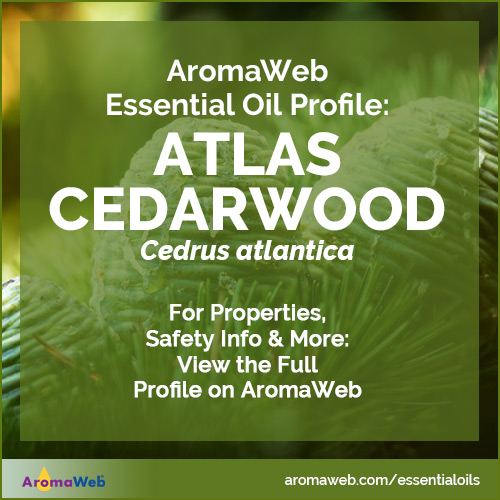 Atlas Cedarwood Essential Oil Profile