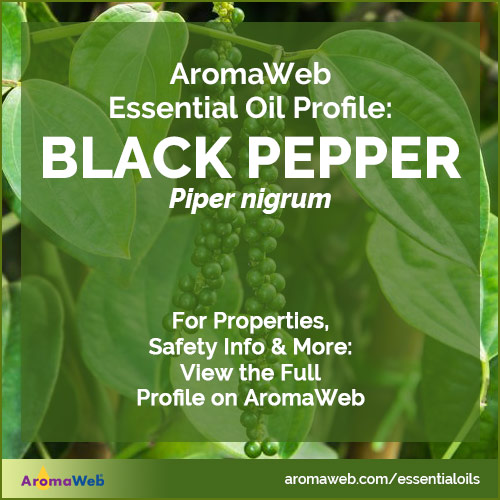 Black Pepper Essential Oil Profile