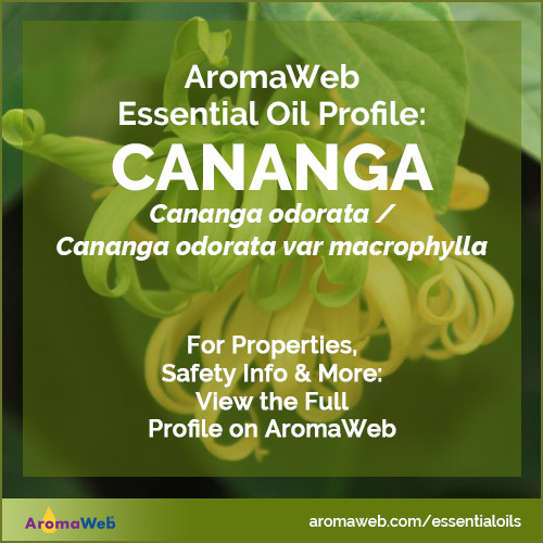 Cananga Essential Oil Profile