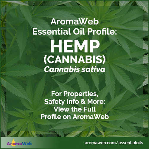 Cannabis Essential Oil Profile